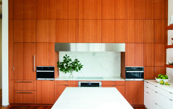 Vision Kitchen Example