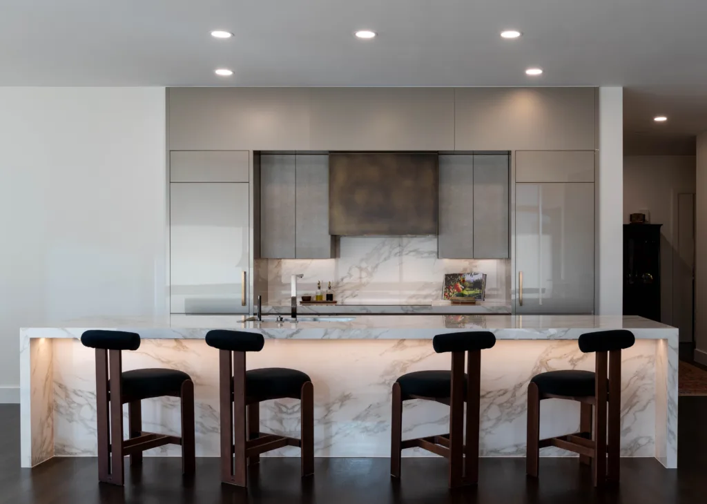 Luxury contemporary kitchen