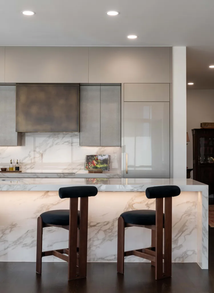 Luxury contemporary kitchen