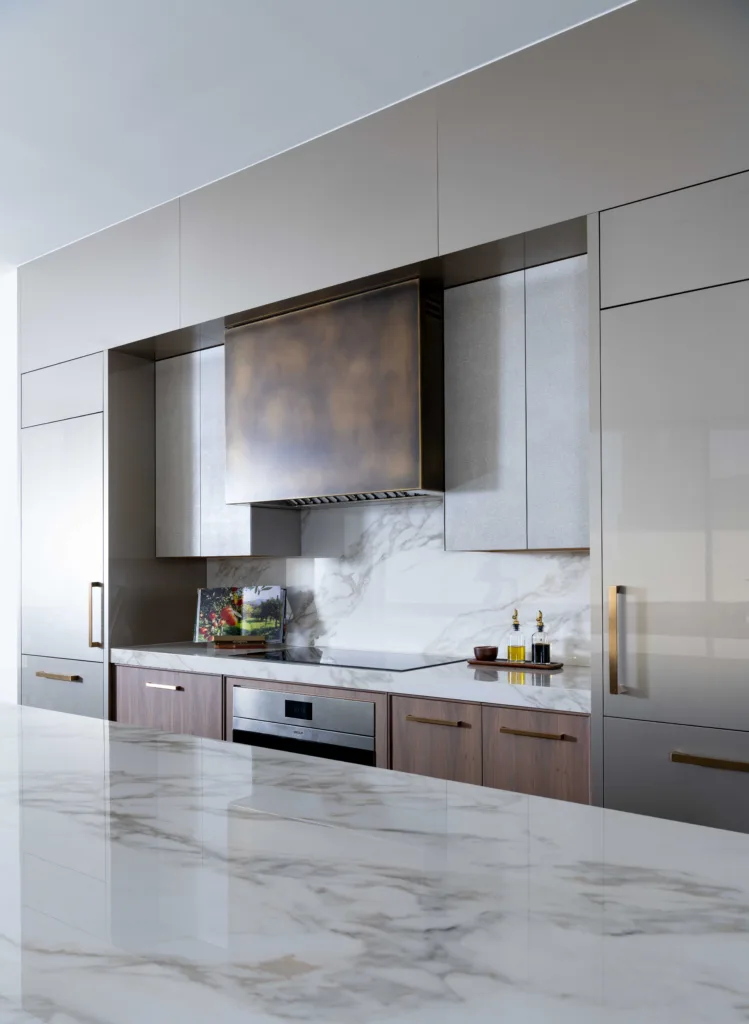 Luxury contemporary kitchen