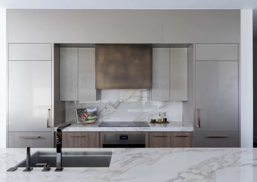 Luxury contemporary kitchen
