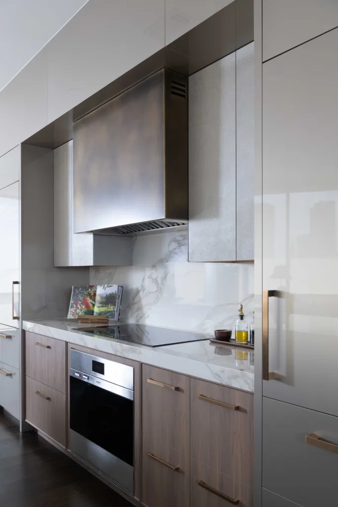 Luxury contemporary kitchen